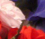 Sony DSC-T33 digital camera image