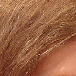 Sony DSC-T33 digital camera image