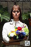 Click to see T3IOUTBDP3.JPG