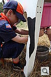 Click to see YIMG_1169.JPG