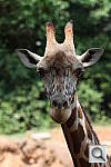 Click to see YIMG_2168.JPG