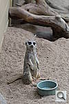 Click to see YIMG_2187.JPG