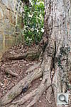 Click to see YIMG_4506.JPG
