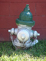 Click to see YDSC00712.JPG