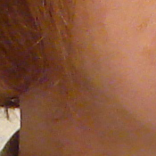 Sony DSC-T33 digital camera image