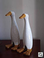 Click to see YDSC00084_noSS.JPG