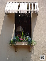 Click to see YDSC0218.JPG