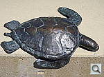 Click to see YDSC00018.JPG