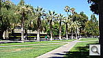 Click to see YDSC00043.JPG