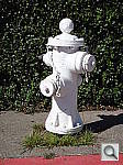 Click to see YDSC00053.JPG
