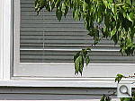 Click to see TX1FARWTDT.JPG