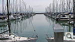 Click to see YIMG_0031.JPG