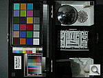 Click to see TZ1LL8006.JPG