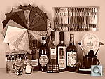 Click to see TZ1hSLCOL_SEPIA.JPG