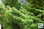 Click to see YP1020283.JPG