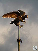 Click to see YP1020302.JPG