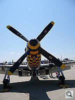 Click to see YP1000023.JPG