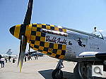 Click to see YP1000024.JPG