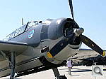 Click to see YP1000026.JPG