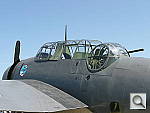 Click to see YP1000027.JPG