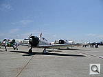 Click to see YP1000030.JPG