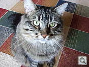 Click to see YDSCF0068.JPG