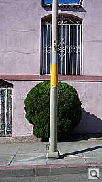 Click to see Y100_0390.JPG