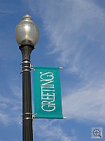 Click to see YDSC00365.JPG