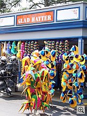 Sony DSC-T33 digital camera image