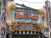 Sony DSC-T33 digital camera image