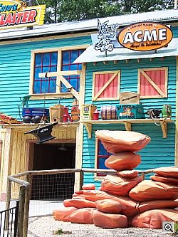 Sony DSC-T33 digital camera image