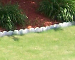 Sony DSC-T33 digital camera image