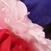 Sony DSC-T33 digital camera image