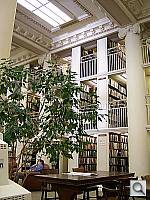 Click to see Y100_0499.JPG