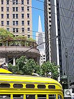 Click to see Y100_0505.JPG