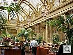 Click to see Y100_0507.JPG