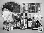 Click to see V610hSLCOLOR_BNW.JPG