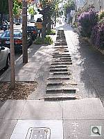 Click to see Y100_0791.JPG