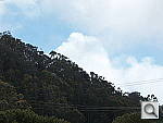 Click to see Y100_0792.JPG