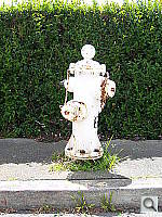 Click to see Y100_0793.JPG