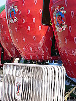 Click to see YDSC02232.JPG