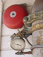 Click to see YDSC02249.JPG