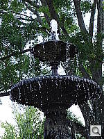 Click to see YDSC00904.JPG