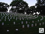 Click to see YDSC00911.JPG