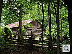 Click to see YDSC00923.JPG
