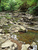 Click to see YDSC00927.JPG