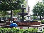 Click to see YDSC00943.JPG