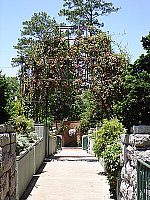 Click to see yDSC00718.JPG