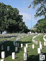 Click to see YDSC00766.JPG