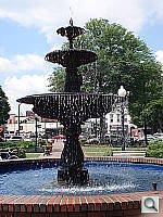 Click to see YDSC00803.JPG
